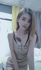 [广东-深圳]宝安小野猫