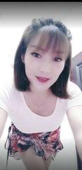 [广东-深圳]民治骚叶子