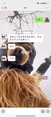 [内蒙古-乌海]考虑考虑