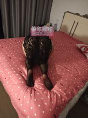 [浙江-浙江]体验不错的糖糖老师