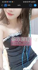 [江苏-南京]钟灵街小母狗