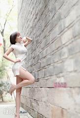 [江苏-南京]温婉可人含羞草