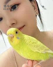 [湖北-武汉]只做半套的小美女
