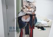 [湖北-武汉]武汉肉肉