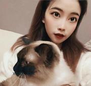 [上海市-徐汇区]性感风骚小美女