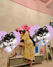 [广东-东莞]虎门带房可舌吻