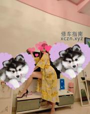 [江苏-无锡]花式制服诱惑小美