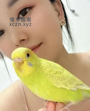 [湖北-武汉]做SZ的小姐姐