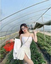 [广东-深圳]宝安甜蜜蜜