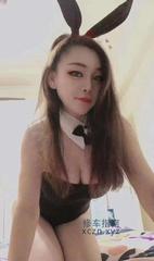 [广东-深圳]翻身小飞猫