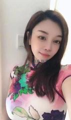 [广东-深圳]宝安翻身小肥猫
