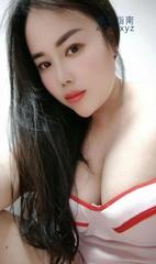 [广东-深圳]西丽D杯狐狸
