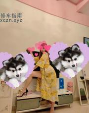[河北-石家庄]石家庄长腿骚货