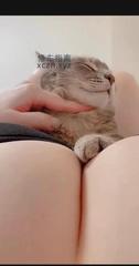 [山东-青岛]巨乳少妇f杯