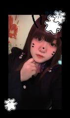 [黑龙江-哈尔滨]香坊雪儿