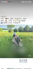 [江苏-南京]丁家庄羊羊