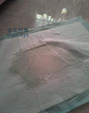 [辽宁-沈阳]潮喷小坦克