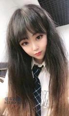 [辽宁-沈阳]沈阳小狐狸