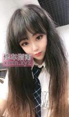 [辽宁-沈阳]沈阳小狐狸