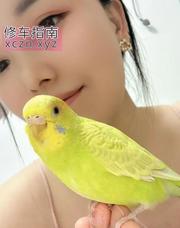 [湖北-武汉]半套美女