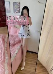 [广东-深圳]公明小野猫