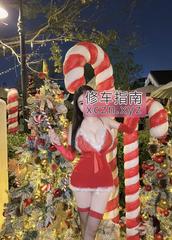 [广东-深圳]圣诞性感大奶