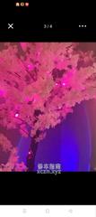 [广东-广州]皇家浴足