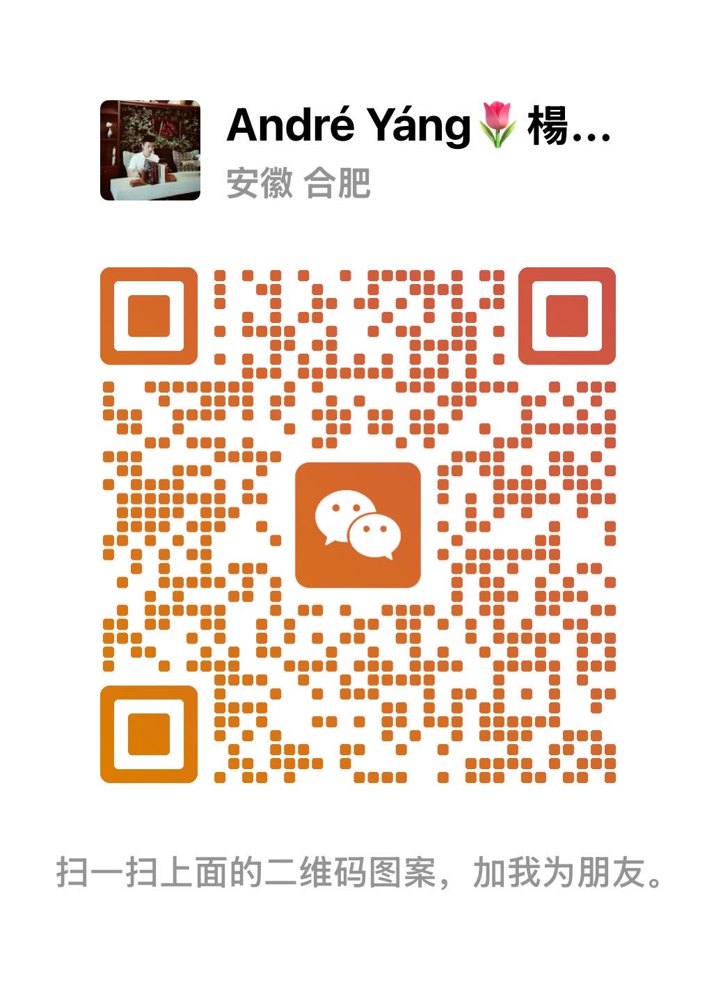 合肥航空飞行俱乐部（预约制） - 图片1